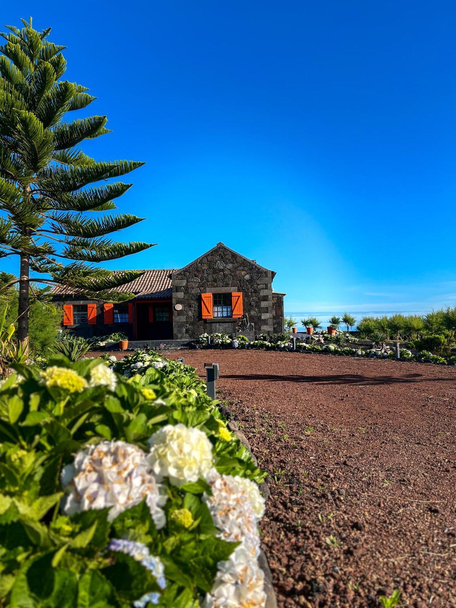 Casa Baleia Laranja Ocean-Front Villa Madalena  Exterior photo